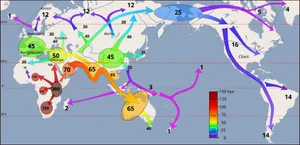 Map of early human migrations